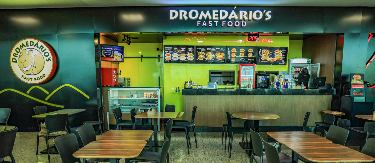 Dromedários